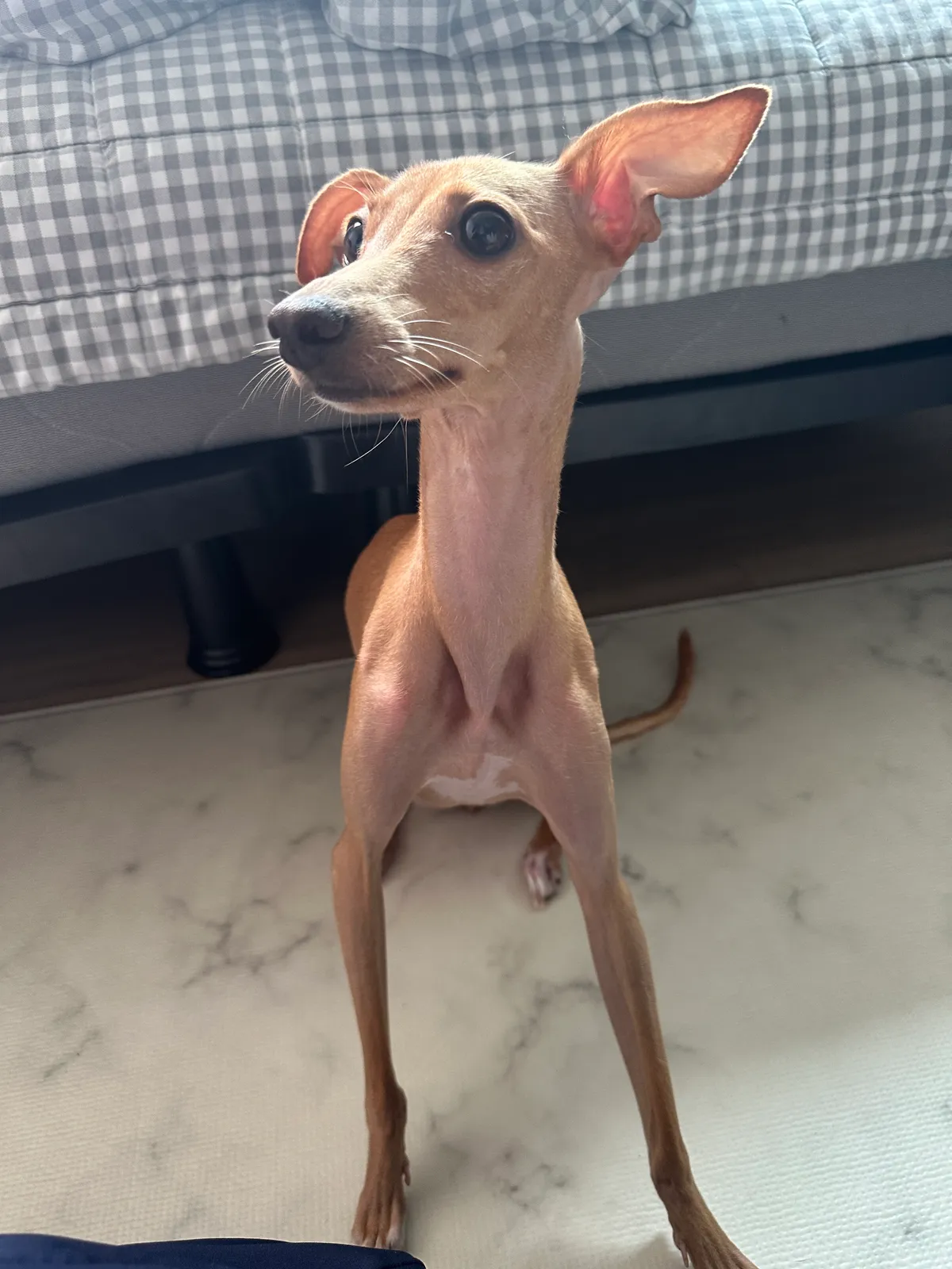 이미지 7