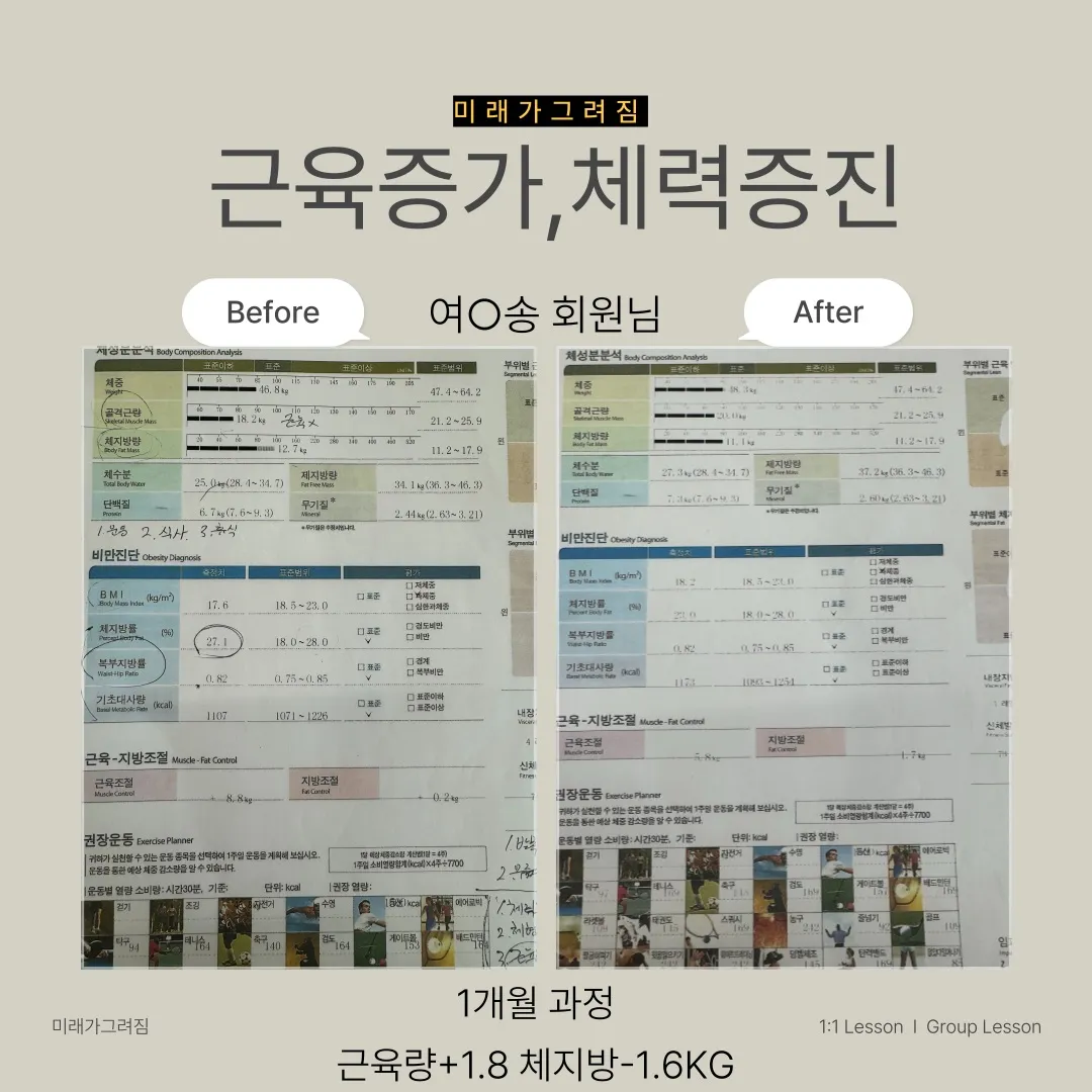 이미지 3