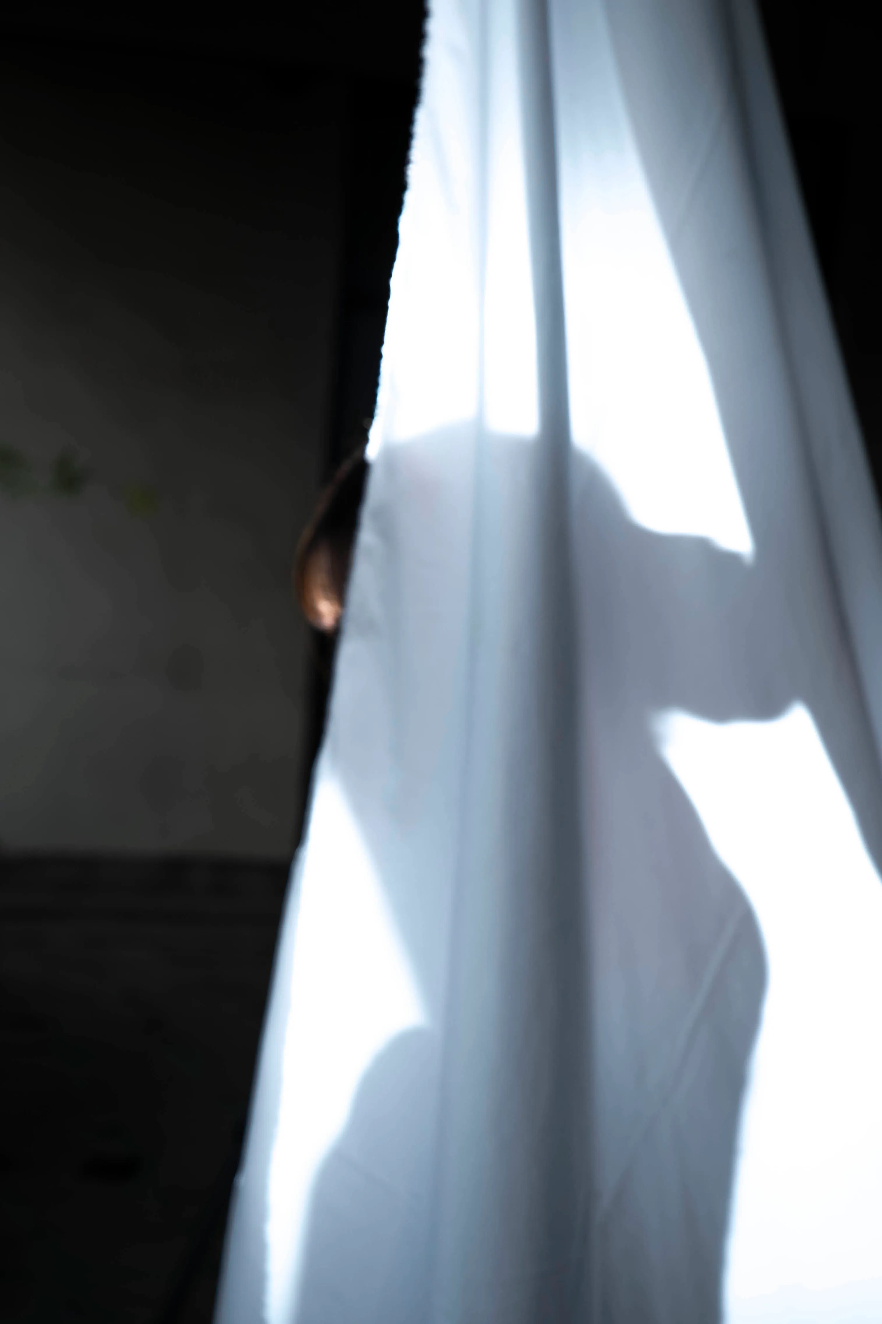 이미지 6