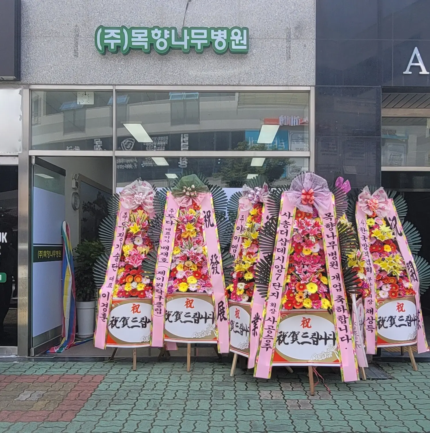 이미지 8