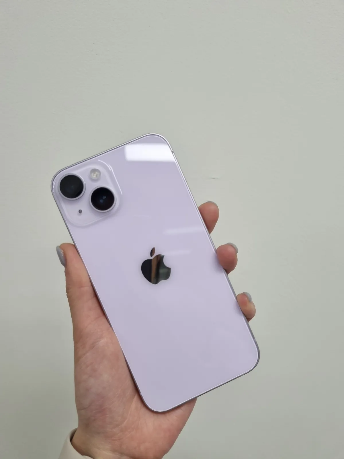 이미지 8