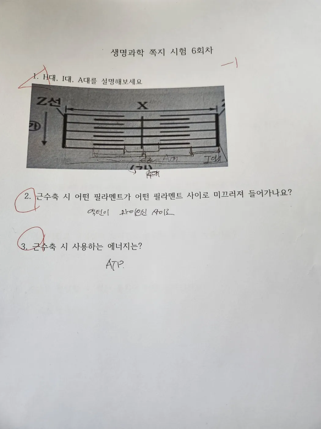 이미지 4