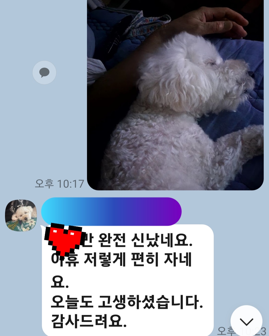 이미지 10