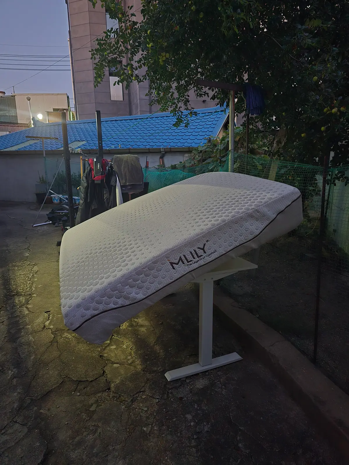 이미지 8