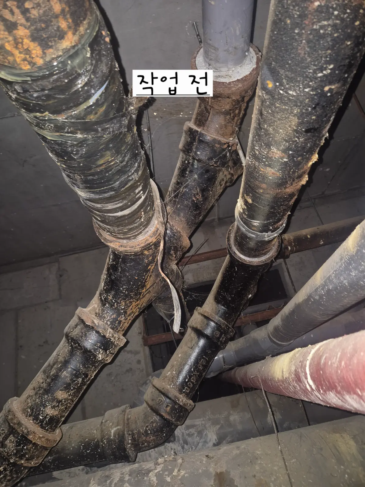 이미지 3