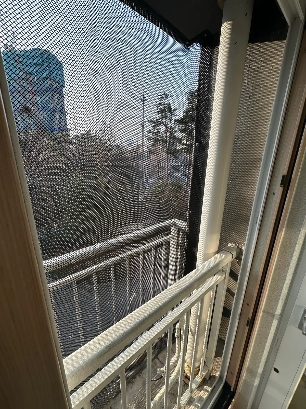 이미지 8