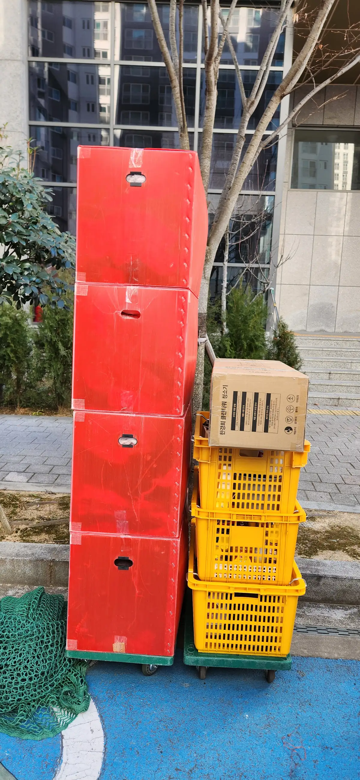 이미지 12