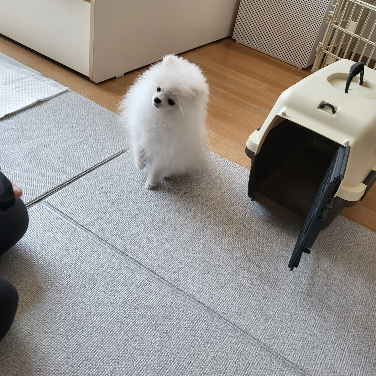 이미지 3