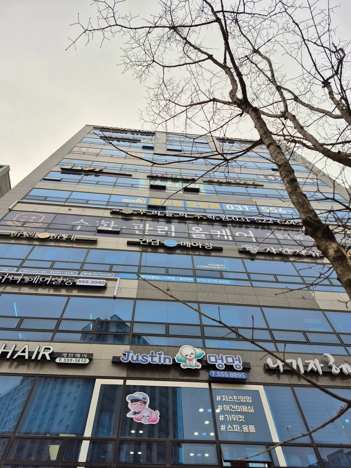 포트폴리오 이미지