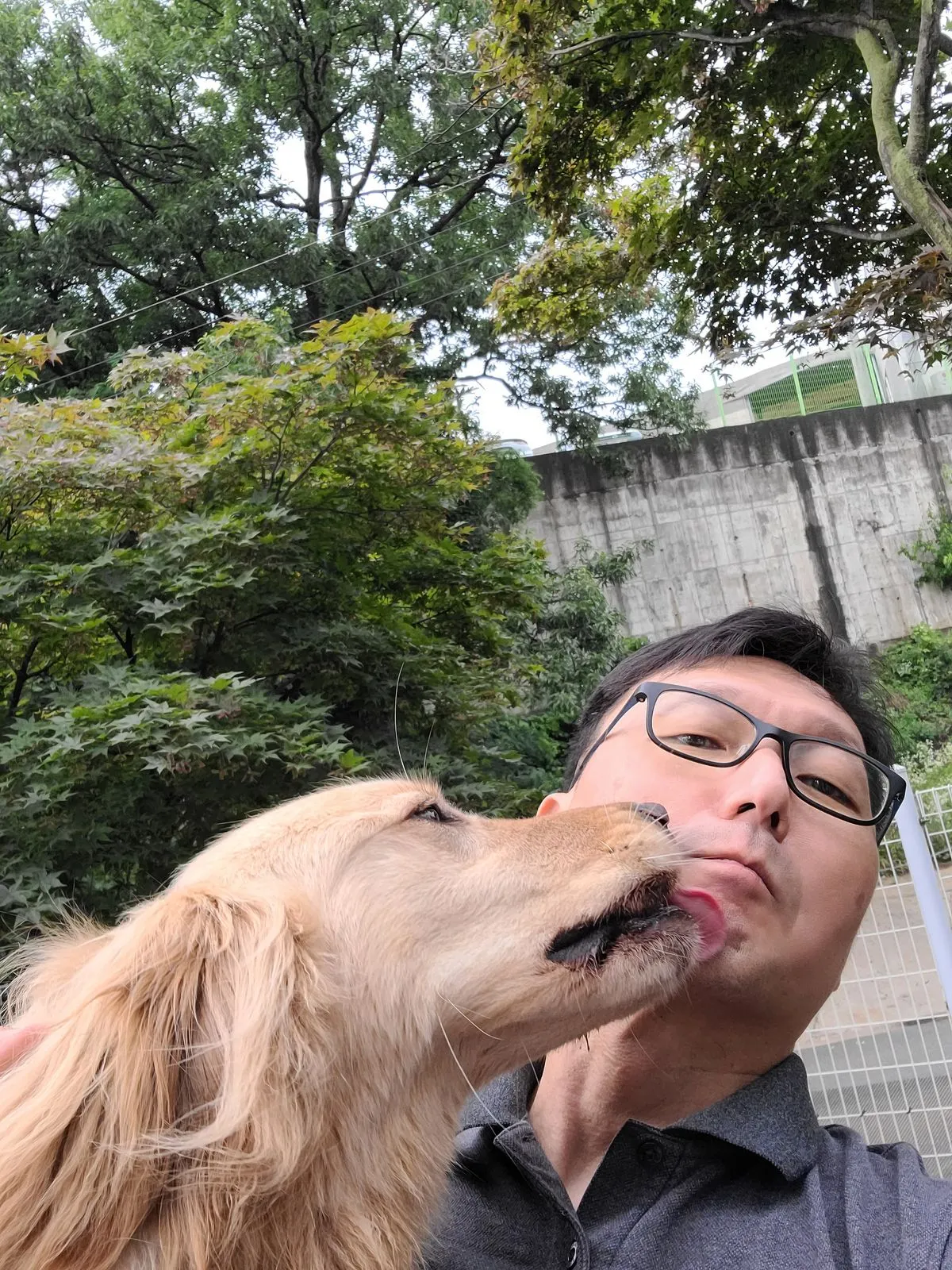 이미지 3