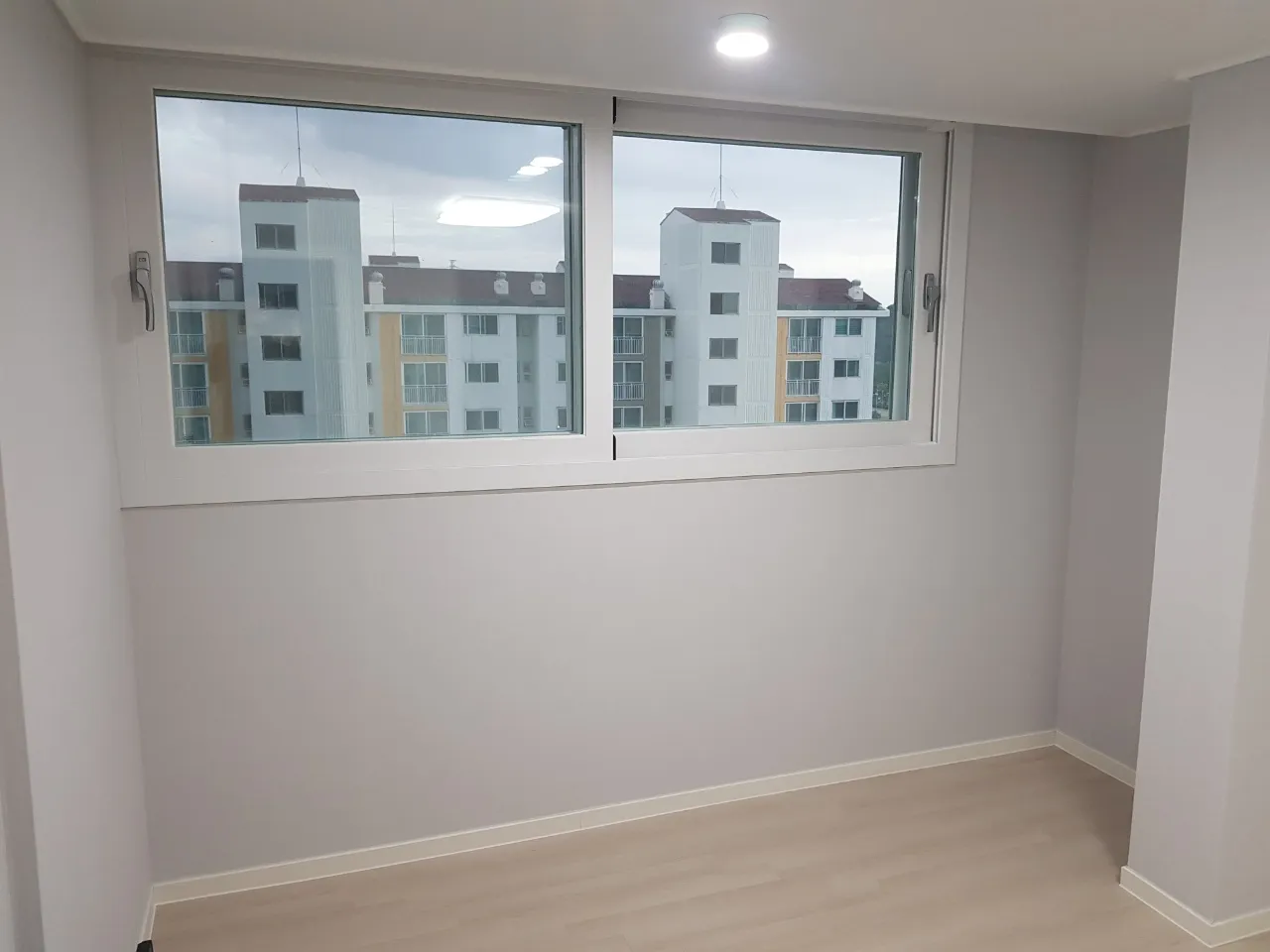 이미지 5