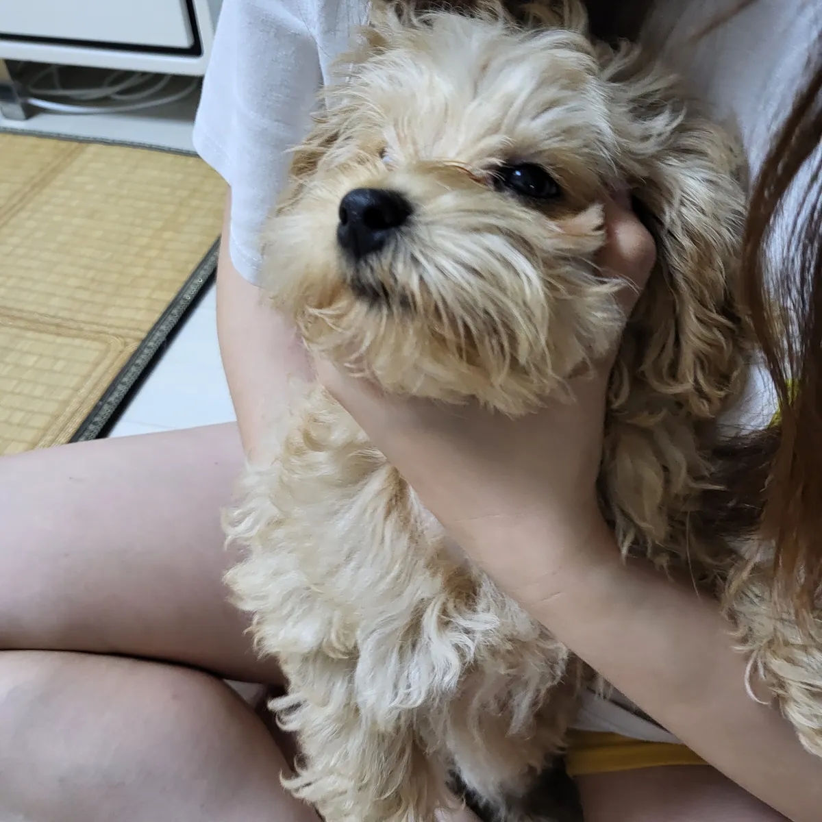 이미지 3