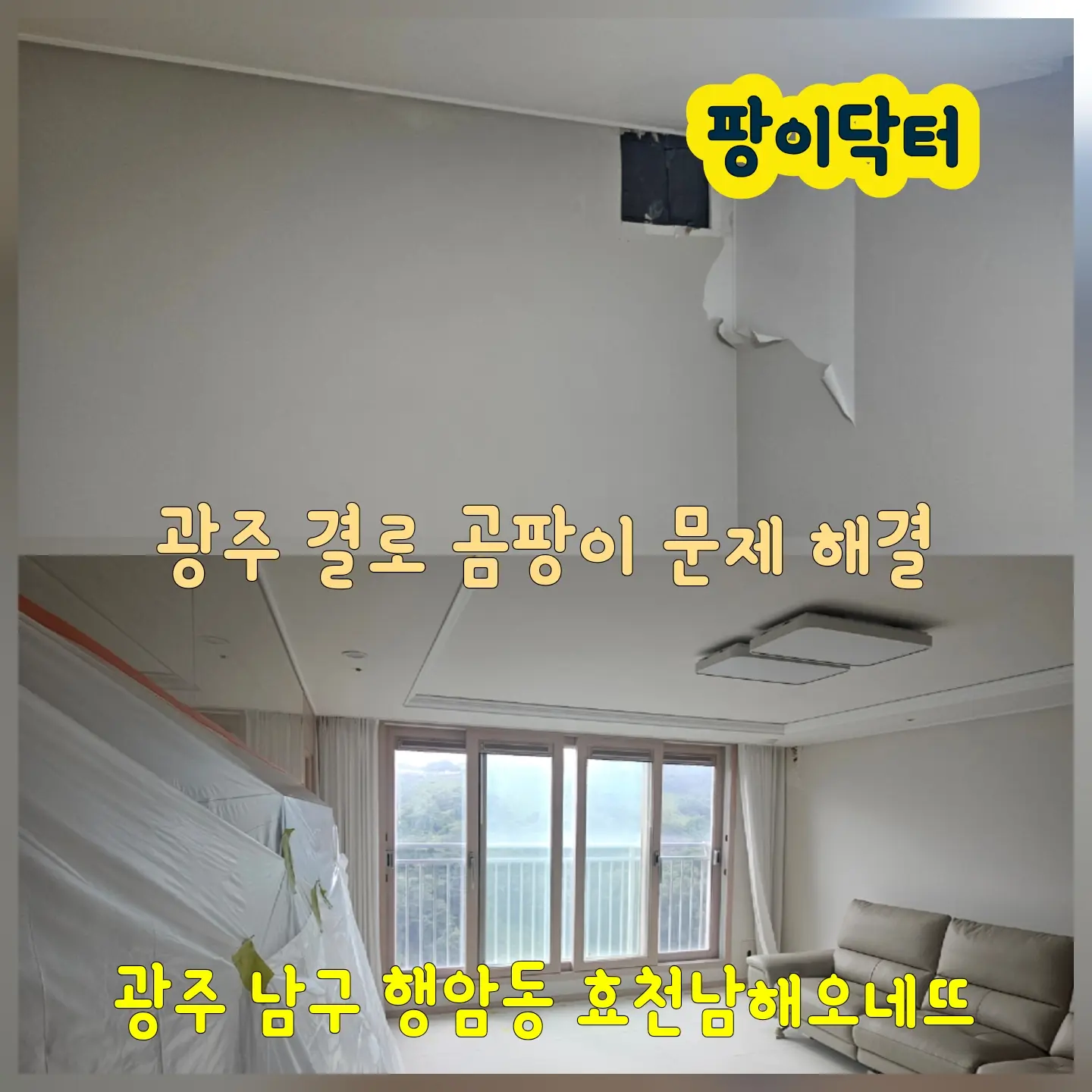 이미지 4