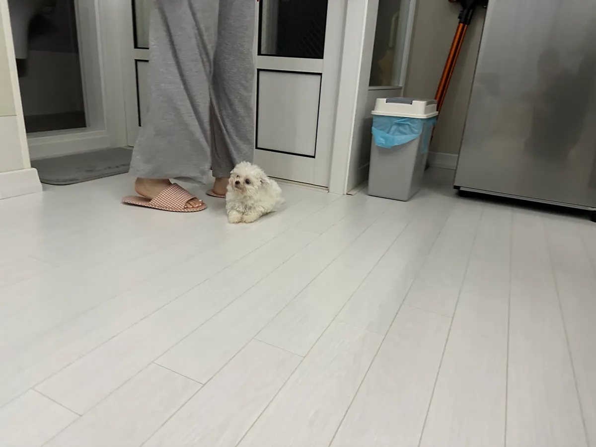 이미지 6