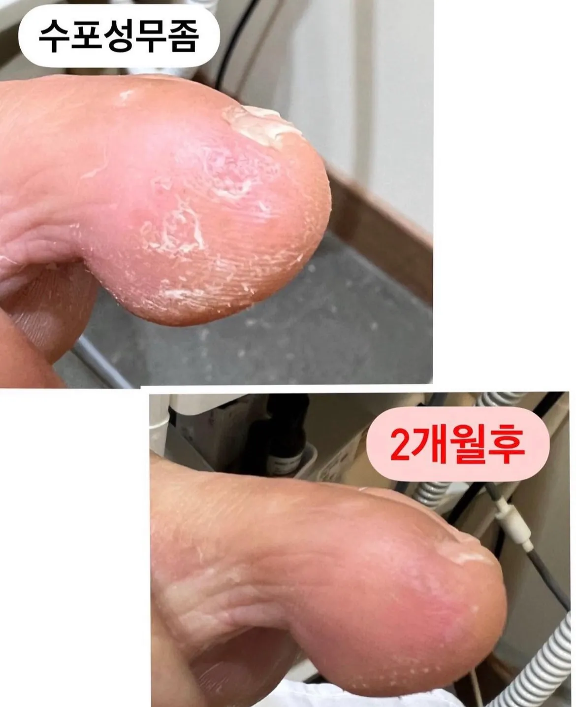 이미지 4