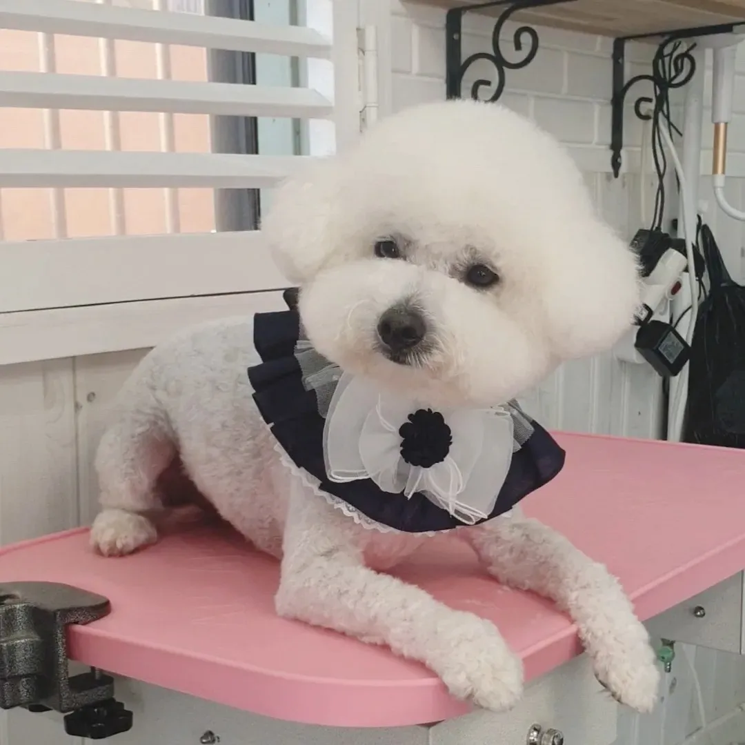 이미지 6