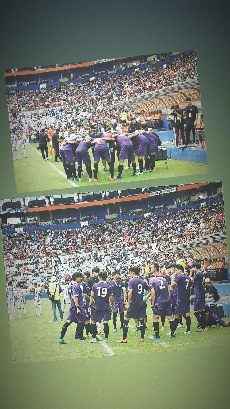 이미지 6