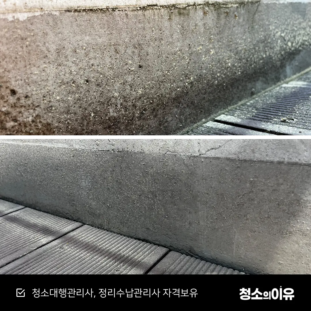 이미지 6