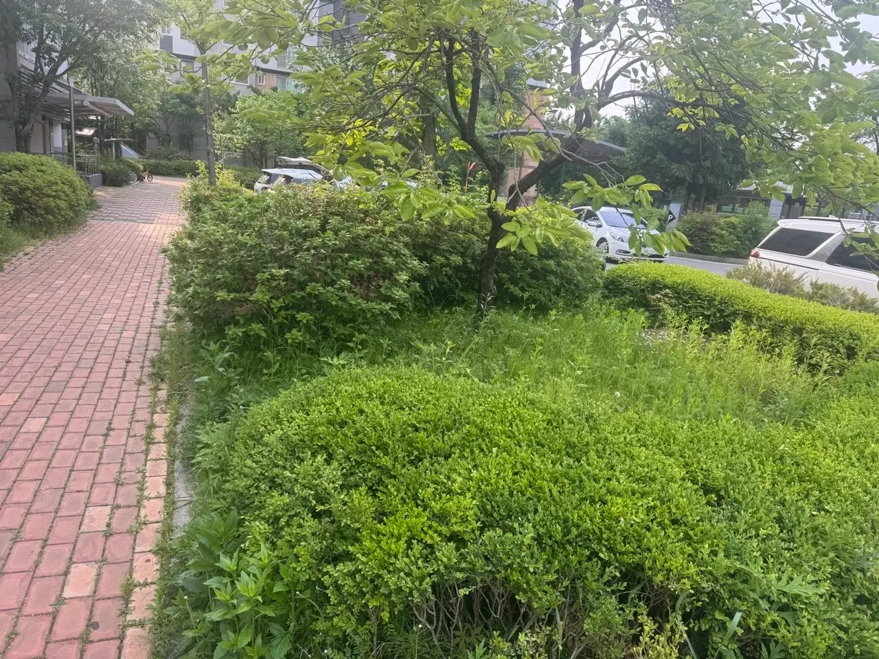 이미지 4