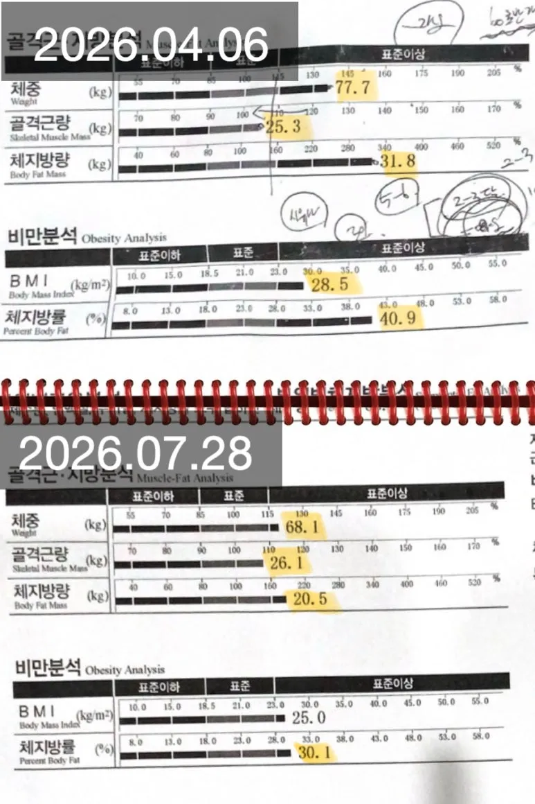 이미지 12