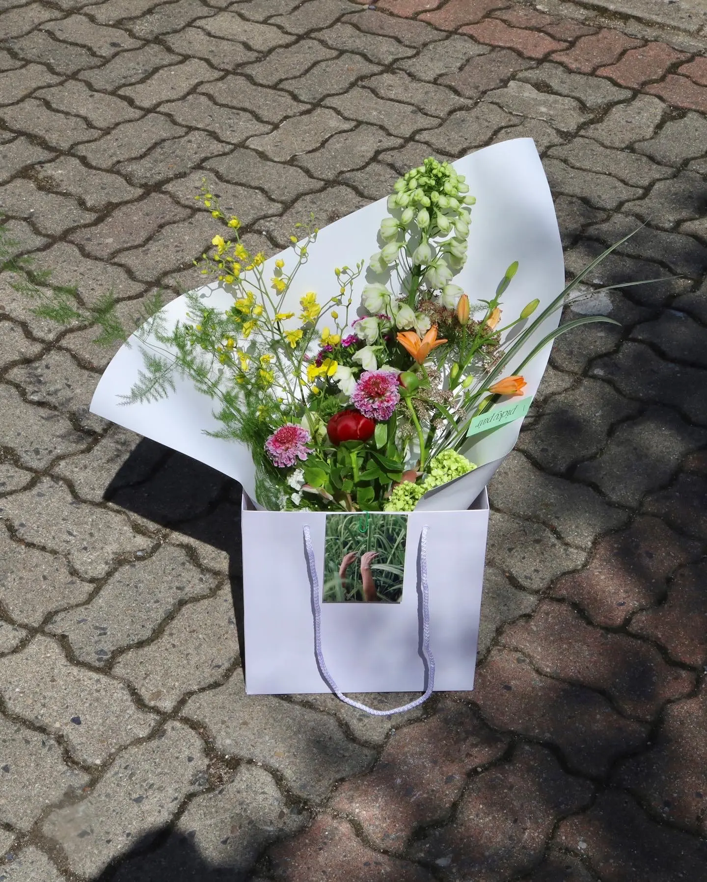 포트폴리오 이미지