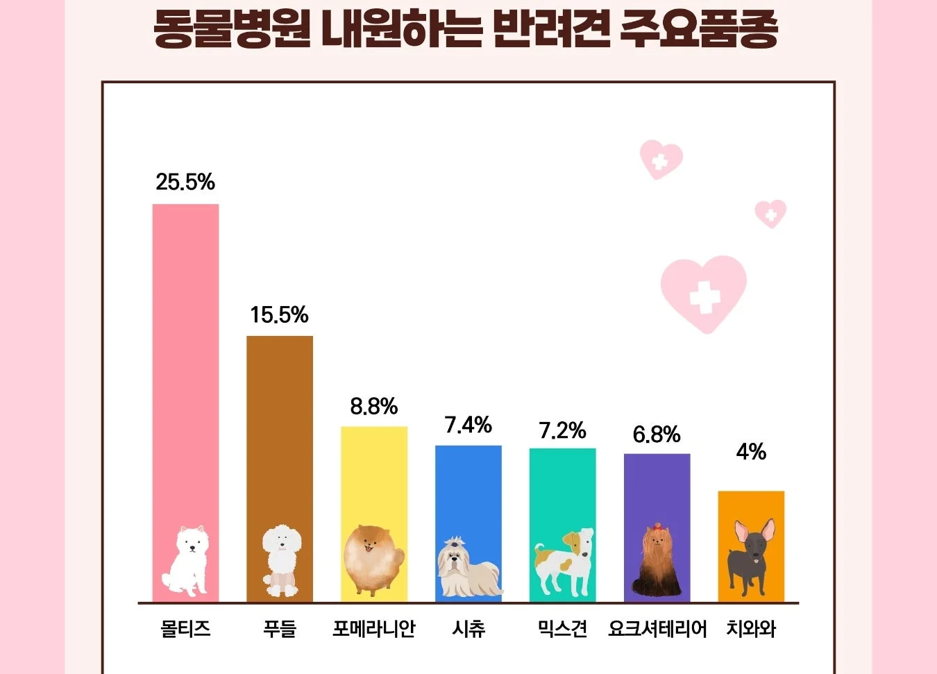 이미지 6