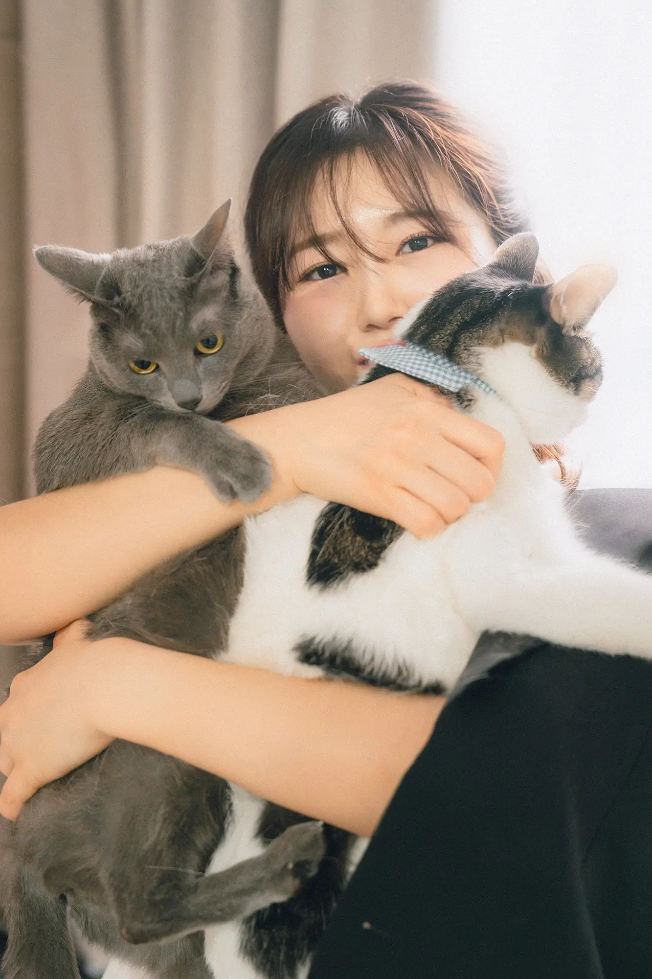 이미지 6