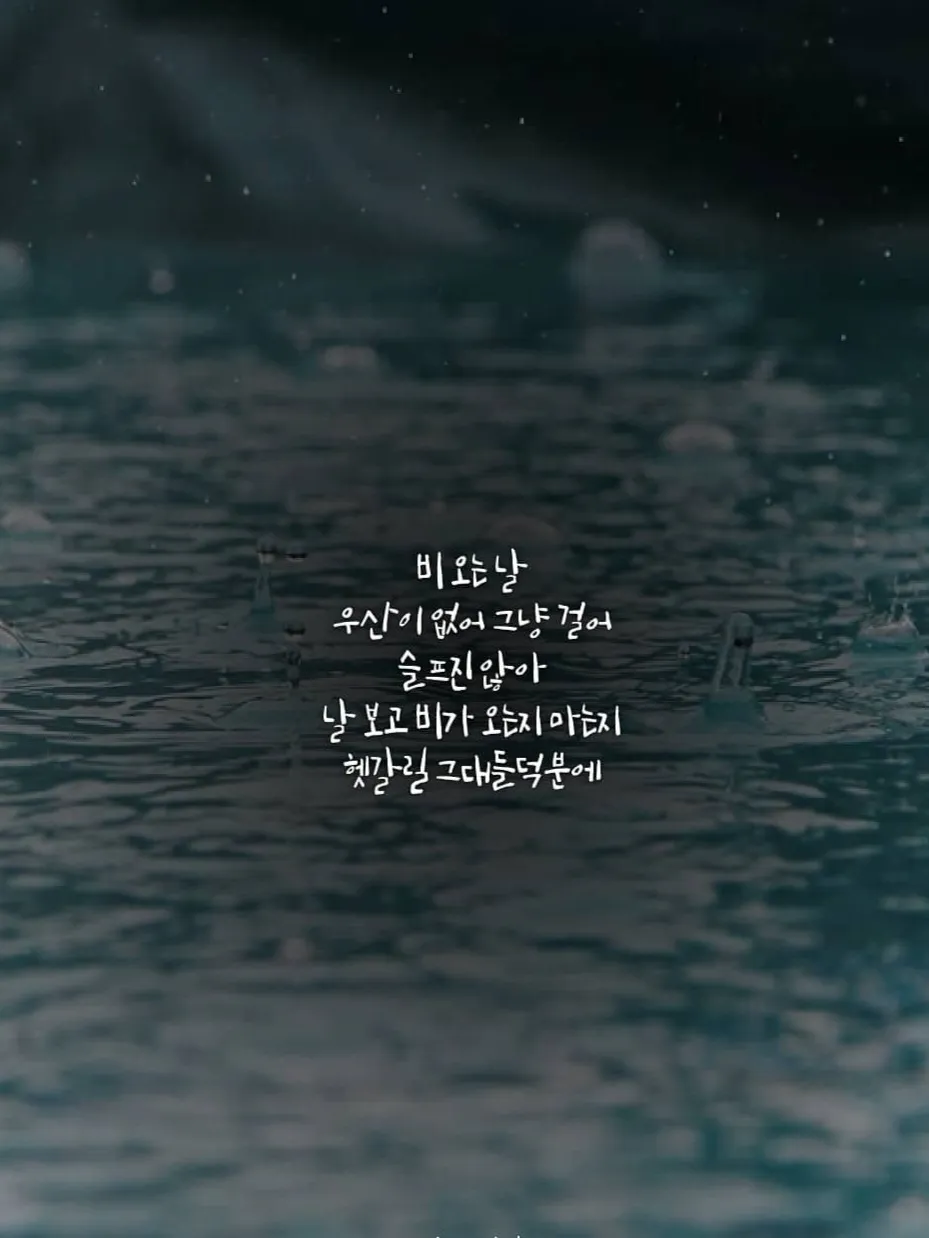 이미지 6