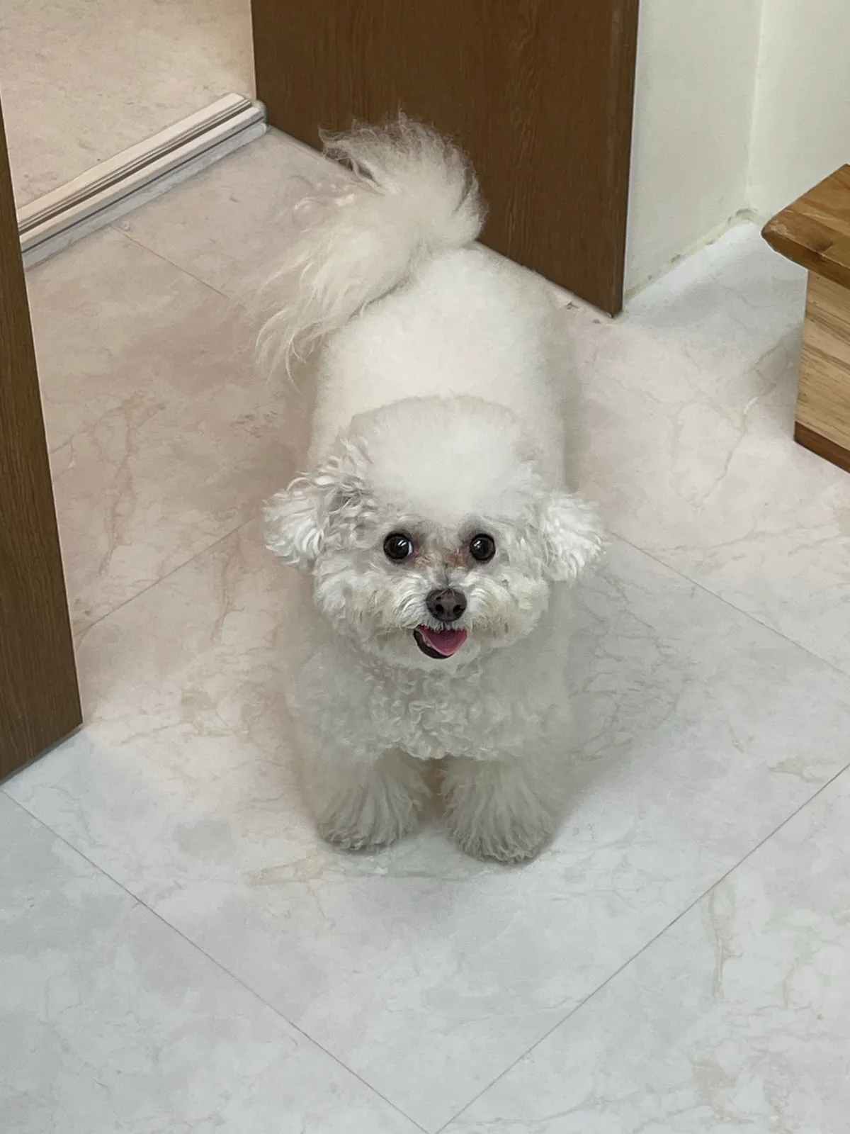 이미지 2
