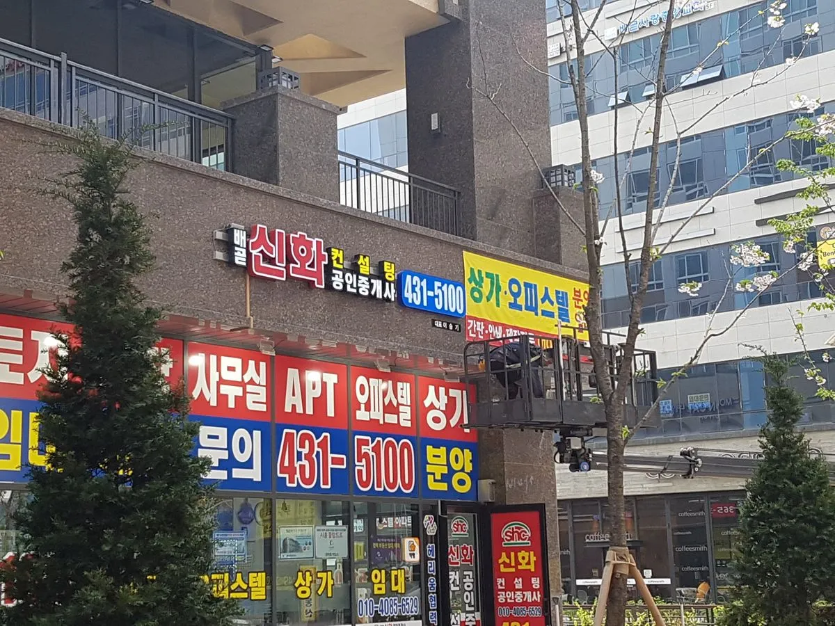 이미지 13