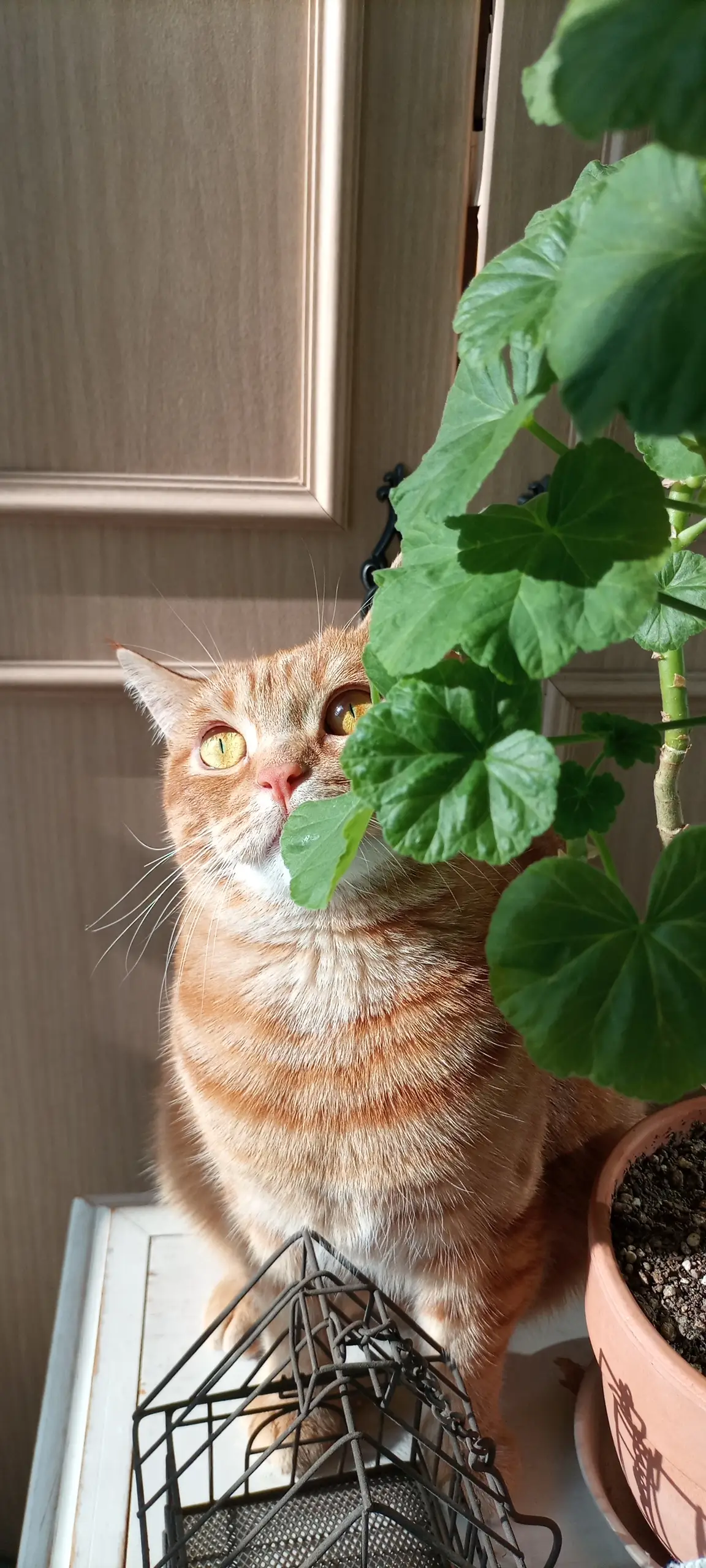 이미지 5