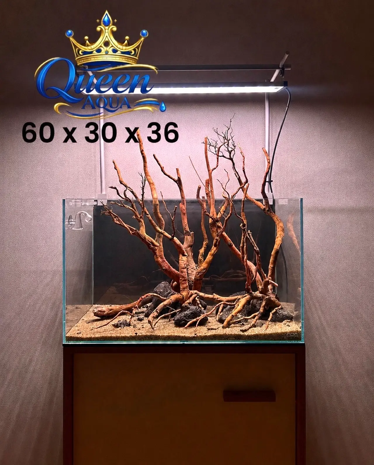 이미지 4