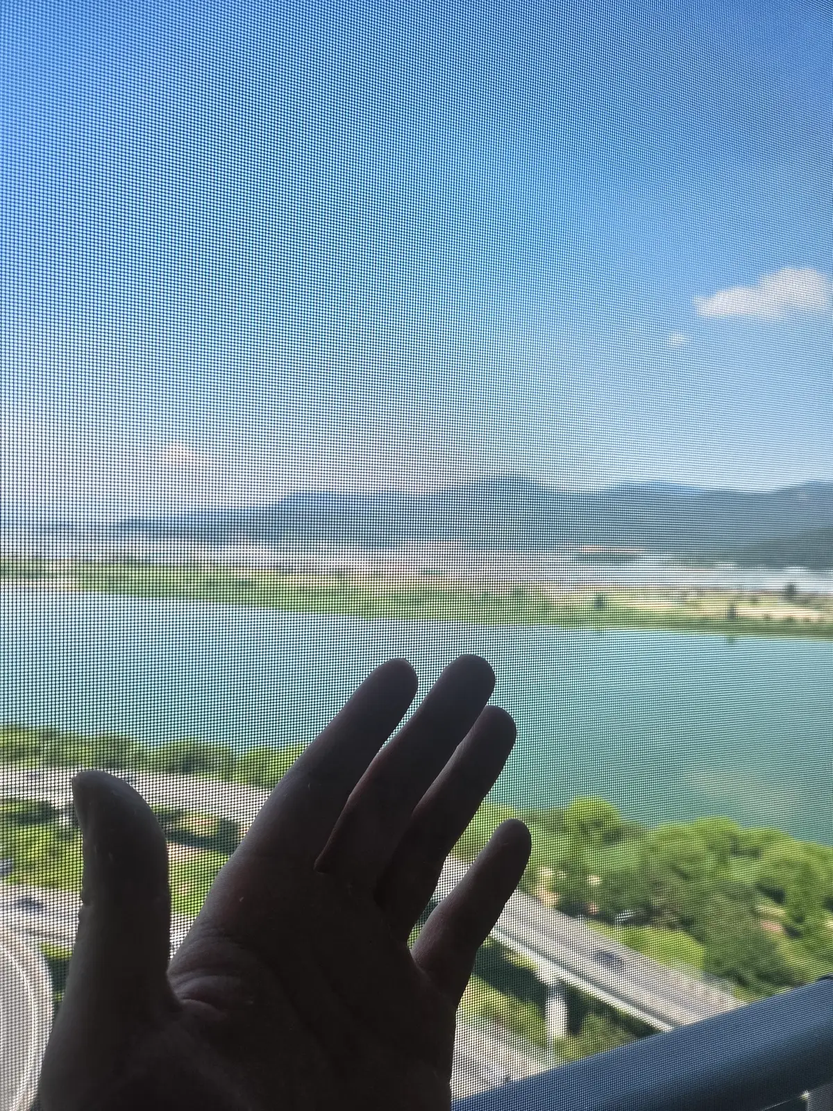 이미지 6