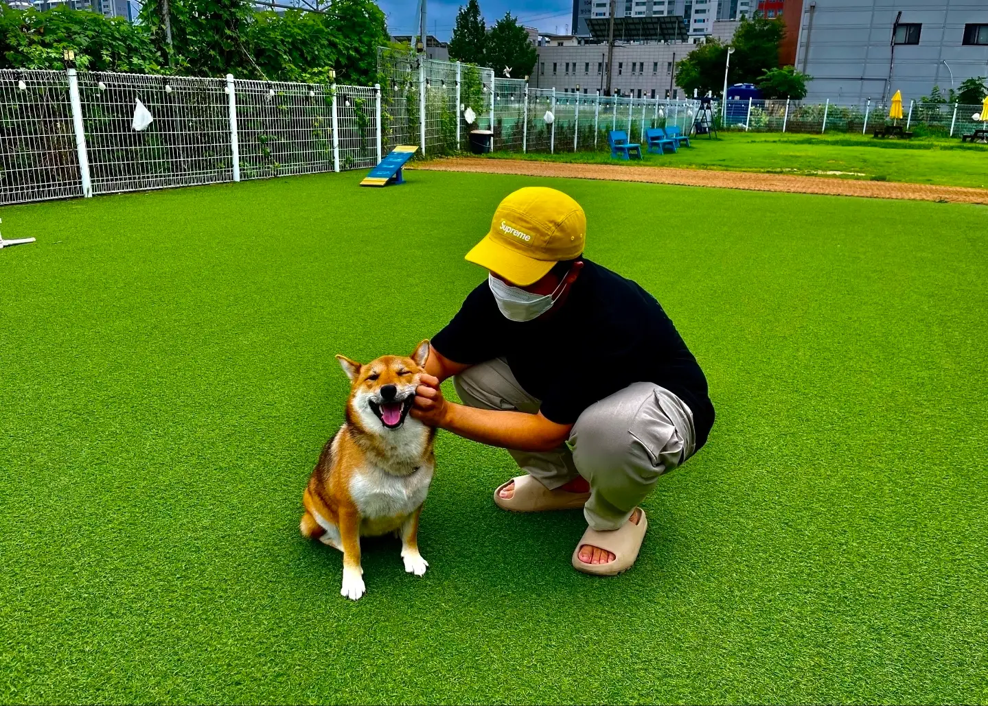 이미지 8