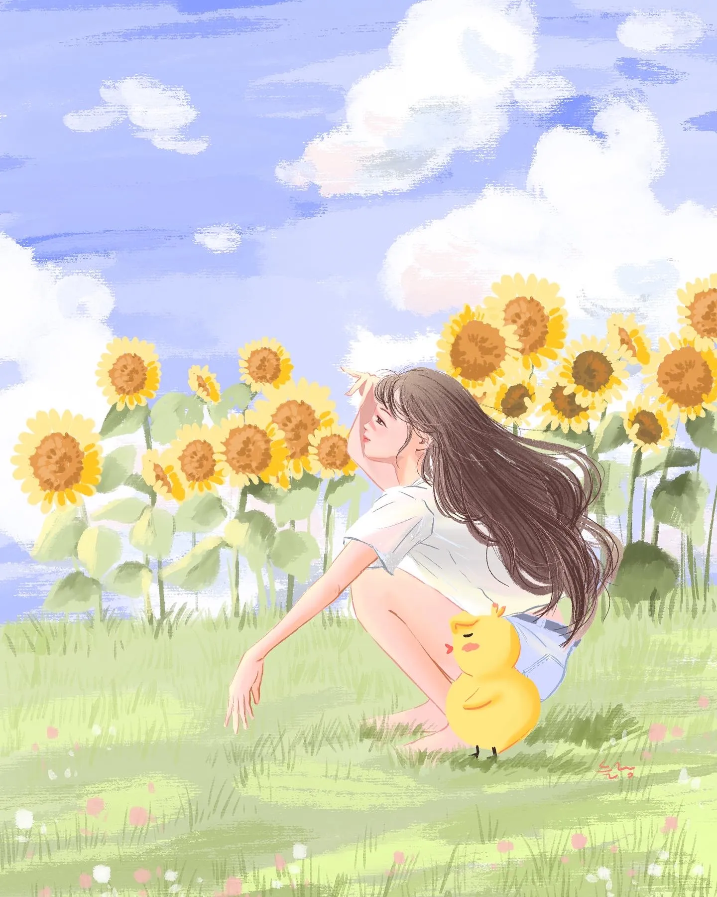 이미지 12