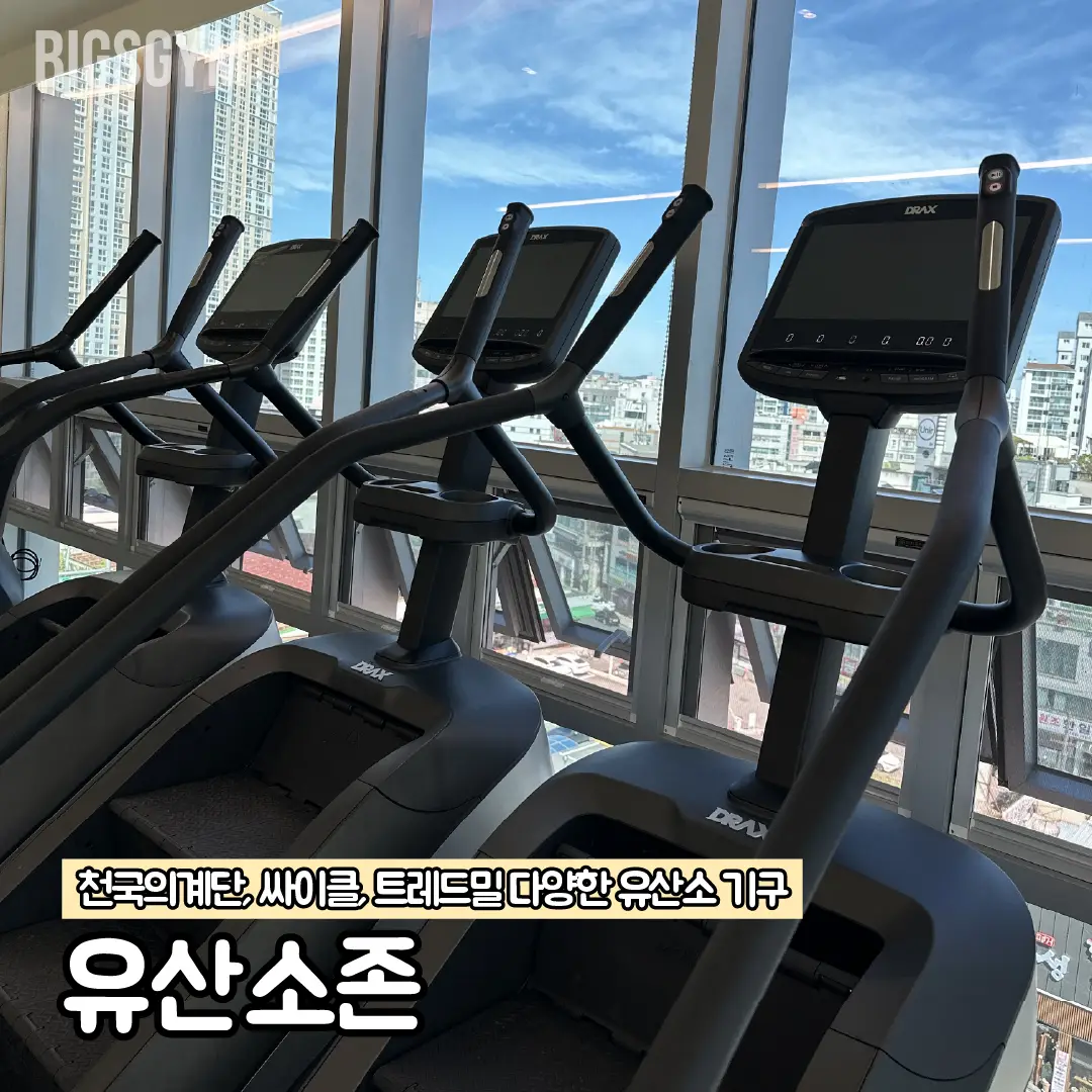 이미지 11