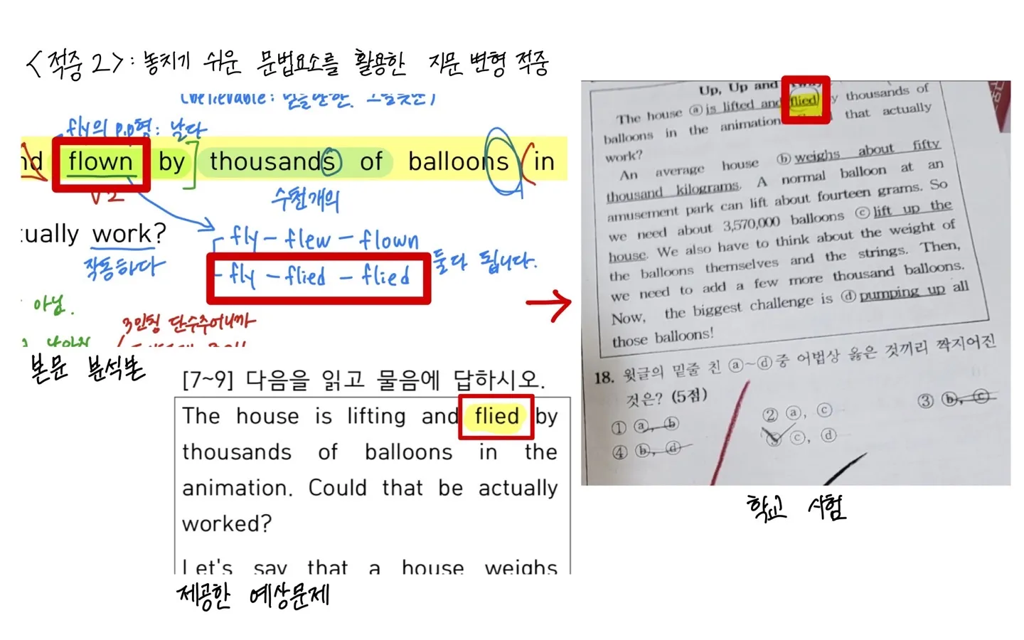이미지 5