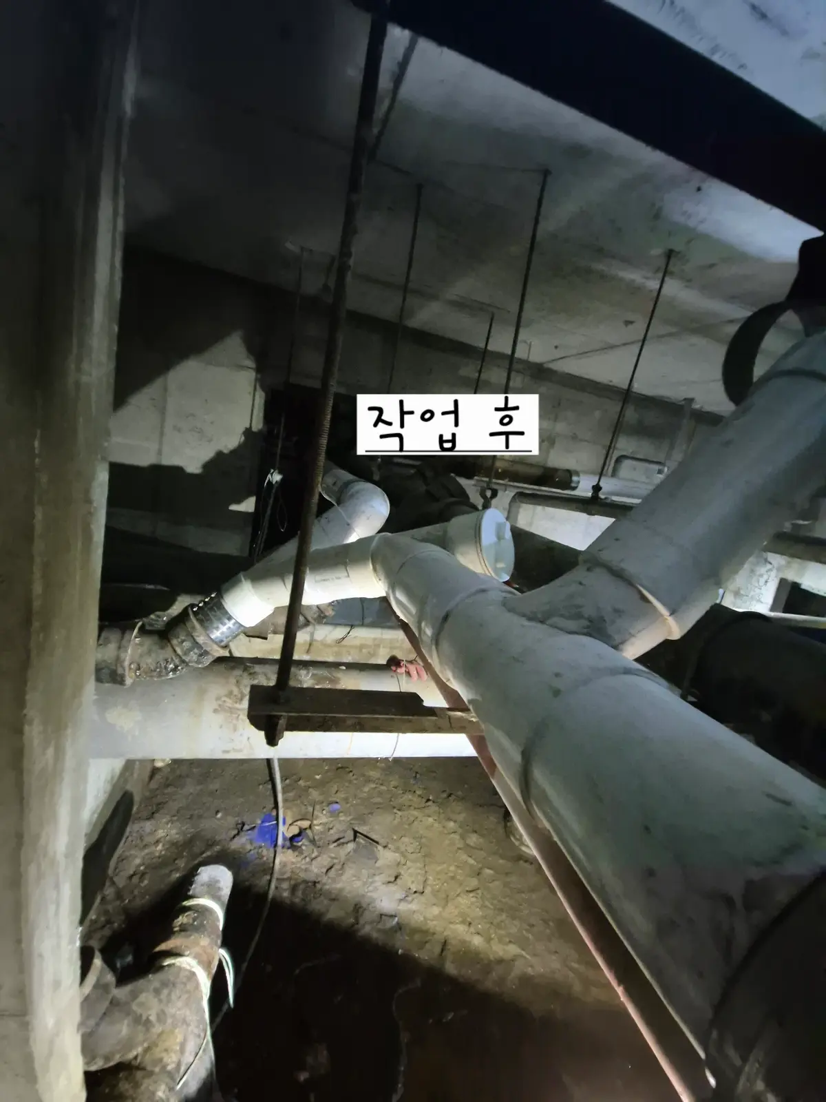 이미지 12