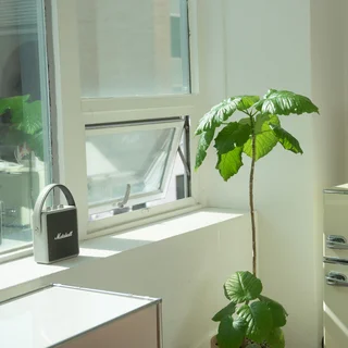 스튜디오 내부
