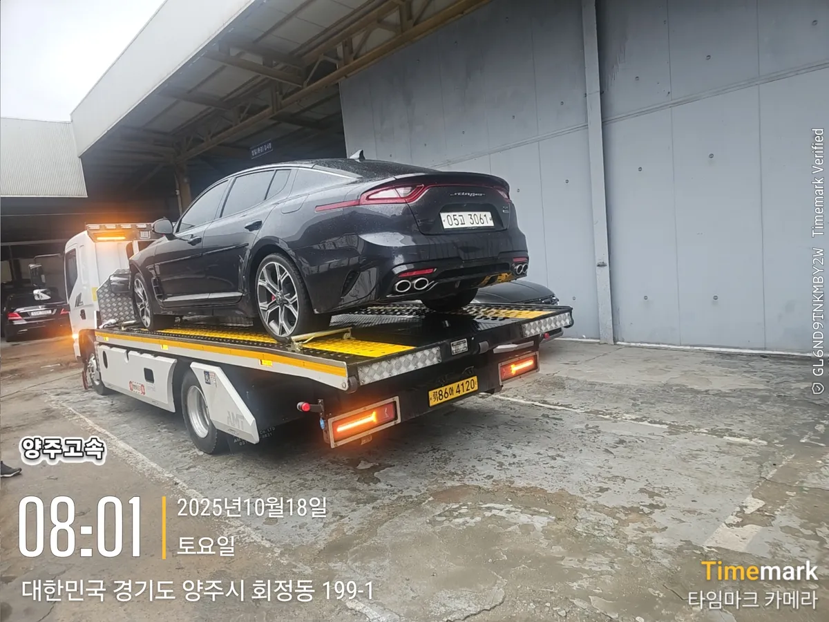 이미지 11