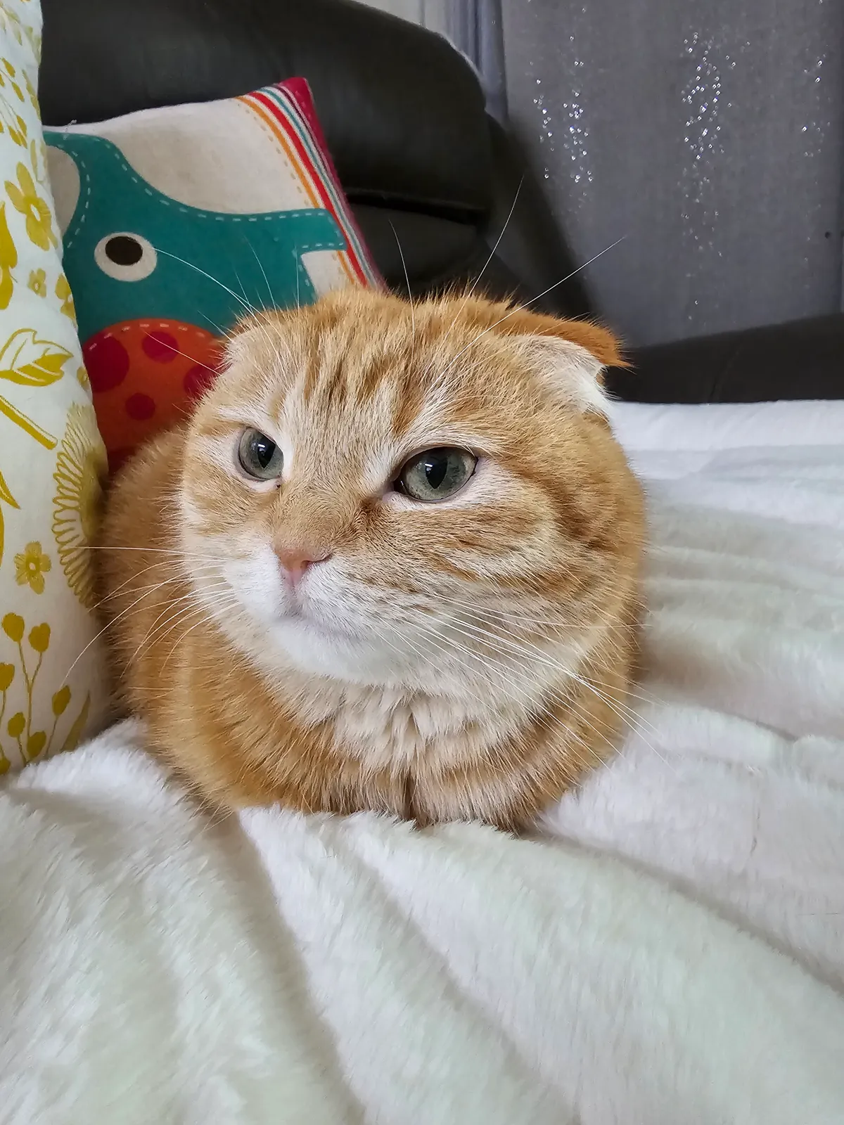 이미지 3