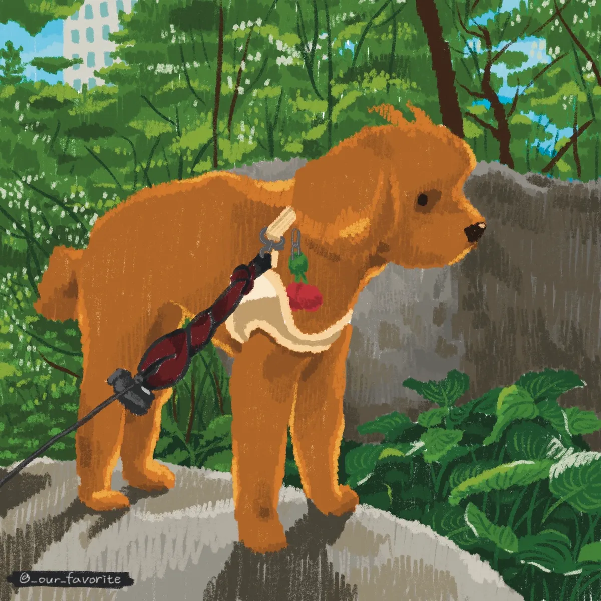 이미지 5