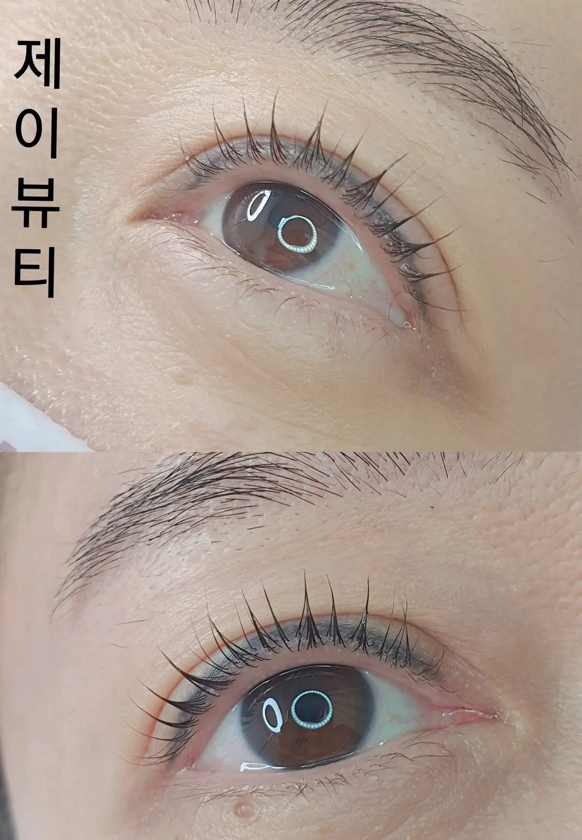 이미지 8