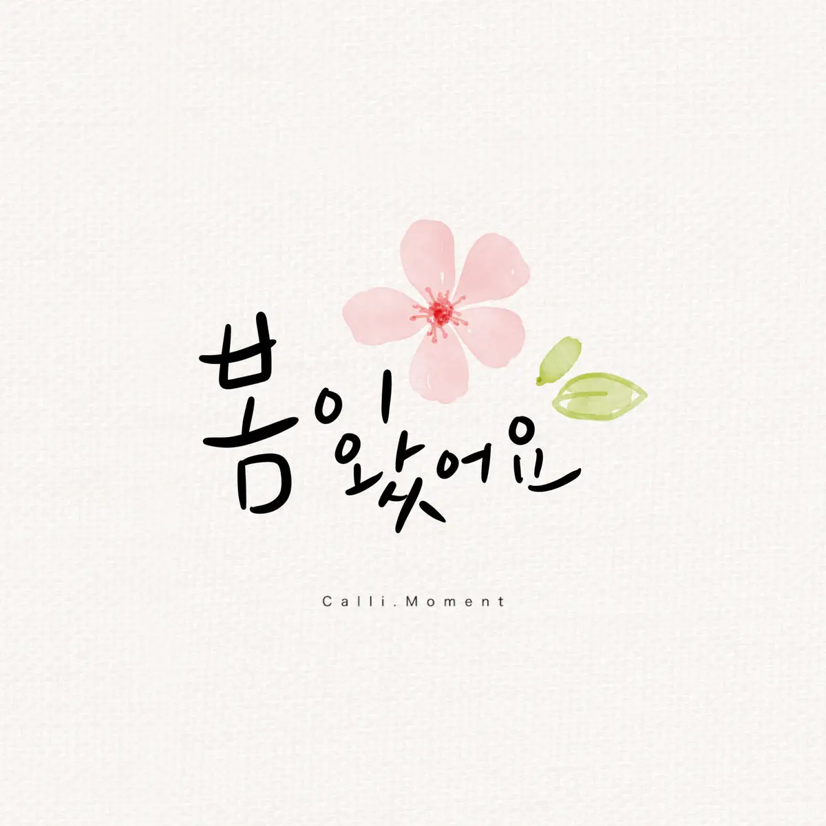 이미지 10