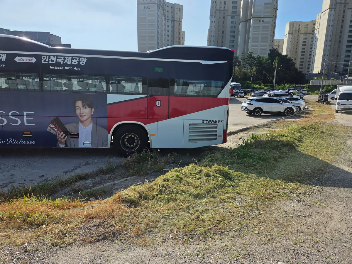 이미지 11