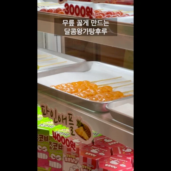 이미지 7