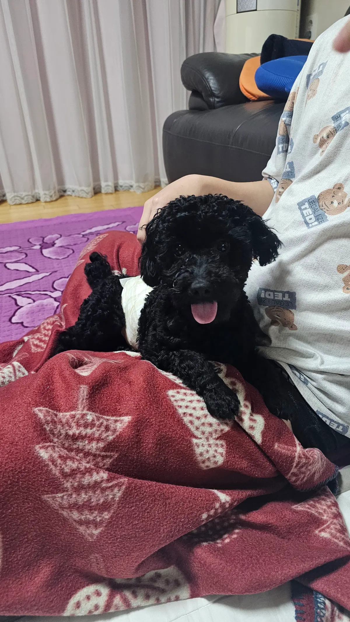 이미지 7