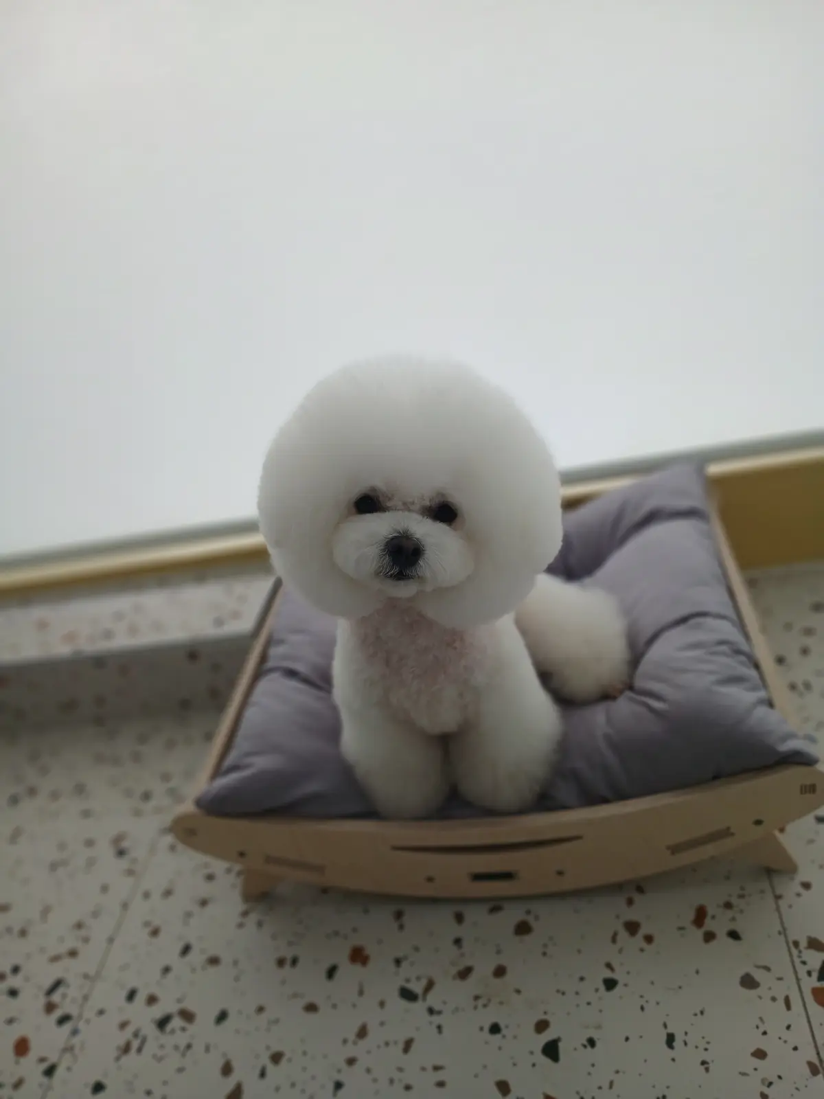 이미지 6