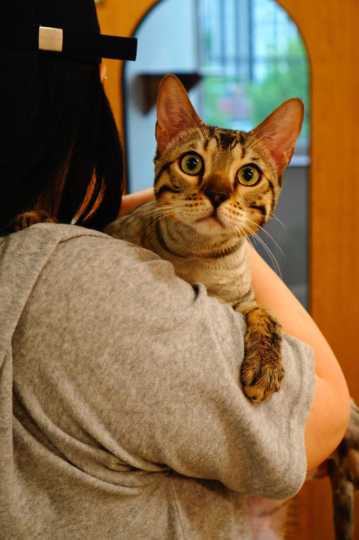 이미지 3