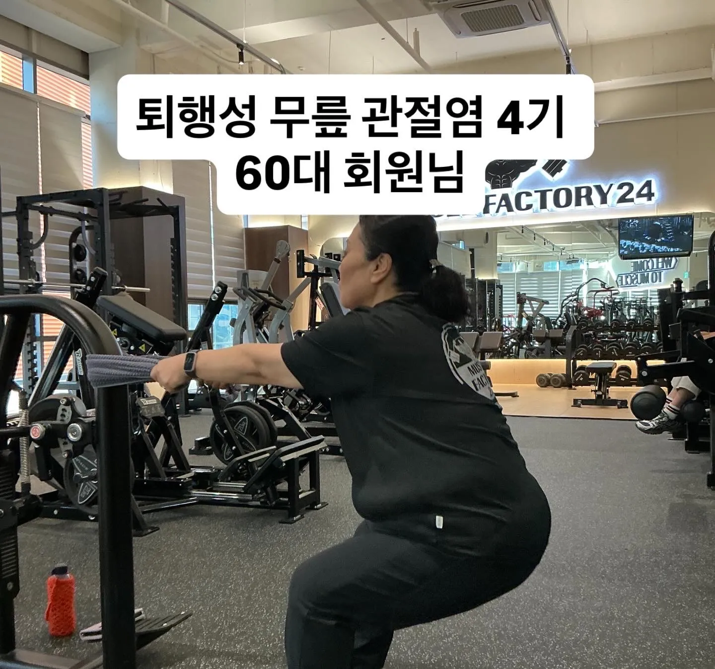 이미지 13